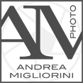 Andrea Migliorini