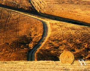 Foto Paesaggio Toscano Tuscany Photo Landscape Alba Orciano Pisano Val di Perga Rosignano Santa Luce Castellina Marittima