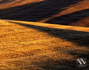 Foto Paesaggio Toscano Tuscany Photo Landscape Alba Orciano Pisano Val di Perga Rosignano Santa Luce Castellina Marittima