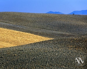 Foto Paesaggio Toscano Tuscany Photo Landscape Alba Orciano Pisano Val di Perga Rosignano Santa Luce Castellina Marittima