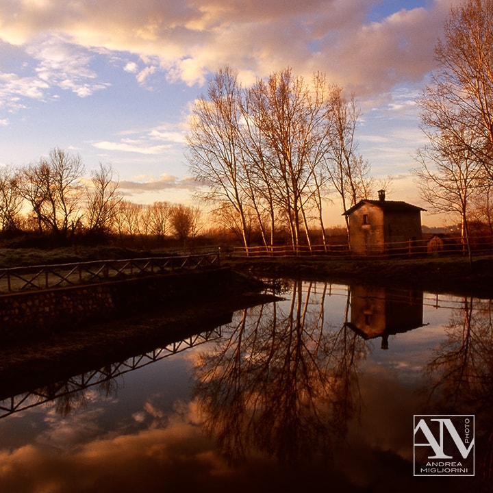 Foto Paesaggio Photo Landscape Alba Padule di Fucecchio