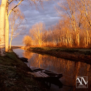 Foto Paesaggio Photo Landscape Alba Padule di Fucecchio