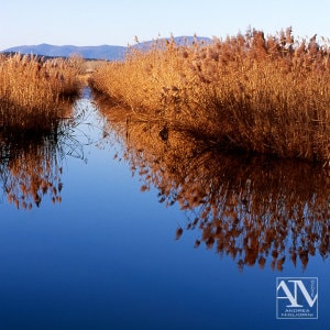 Foto Paesaggio Photo Landscape Alba Padule di Fucecchio