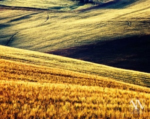 Foto Paesaggio Toscano Tuscany Photo Landscape Alba Orciano Pisano Val di Perga Rosignano Santa Luce Castellina Marittima
