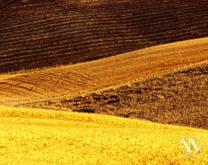 Foto Paesaggio Toscano Tuscany Photo Landscape Alba Orciano Pisano Val di Perga Rosignano Santa Luce Castellina Marittima