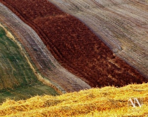 Foto Paesaggio Toscano Tuscany Photo Landscape Alba Orciano Pisano Val di Perga Rosignano Santa Luce Castellina Marittima