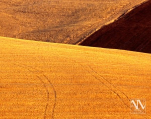 Foto Paesaggio Toscano Tuscany Photo Landscape Alba Orciano Pisano Val di Perga Rosignano Santa Luce Castellina Marittima