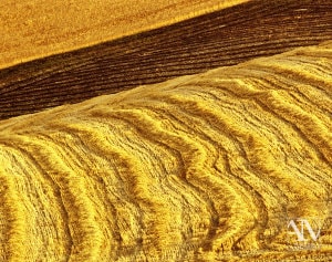 Foto Paesaggio Toscano Tuscany Photo Landscape Alba Orciano Pisano Val di Perga Rosignano Santa Luce Castellina Marittima