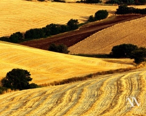 Foto Paesaggio Toscano Tuscany Photo Landscape Alba Orciano Pisano Val di Perga Rosignano Santa Luce Castellina Marittima