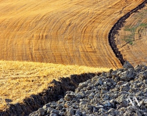 Foto Paesaggio Toscano Tuscany Photo Landscape Alba Orciano Pisano Val di Perga Rosignano Santa Luce Castellina Marittima