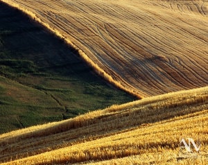 Foto Paesaggio Toscano Tuscany Photo Landscape Alba Orciano Pisano Val di Perga Rosignano Santa Luce Castellina Marittima