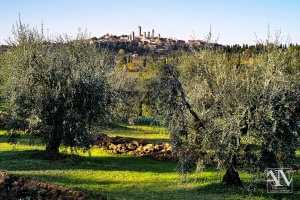 Foto Paesaggio Toscano Tuscany Photo Landscape San Gimignano