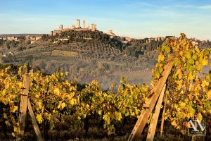 Foto Paesaggio Toscano Tuscany Photo Landscape San Gimignano