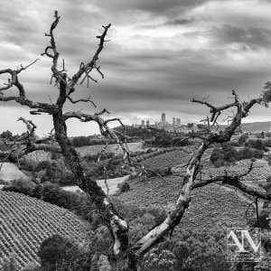 Foto Paesaggio Toscano Tuscany Photo Landscape San Gimignano