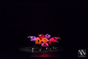 Saggio e rassegna di danza