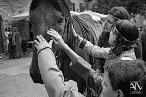 Ferie delle Messi san Gimignano