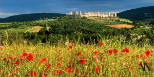 Foto Paesaggio Toscano Tuscany Photo Landscape Monteriggioni