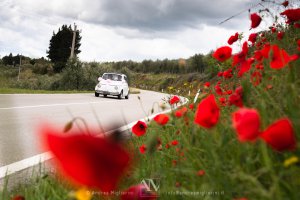 Photo Wedding a Poggibonsi